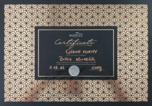 certyfikat 02 nelly stylizacja paznokci